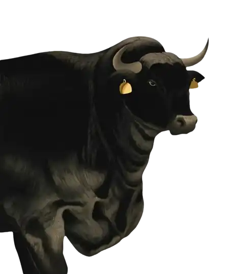 BAHO Wagyu Beef