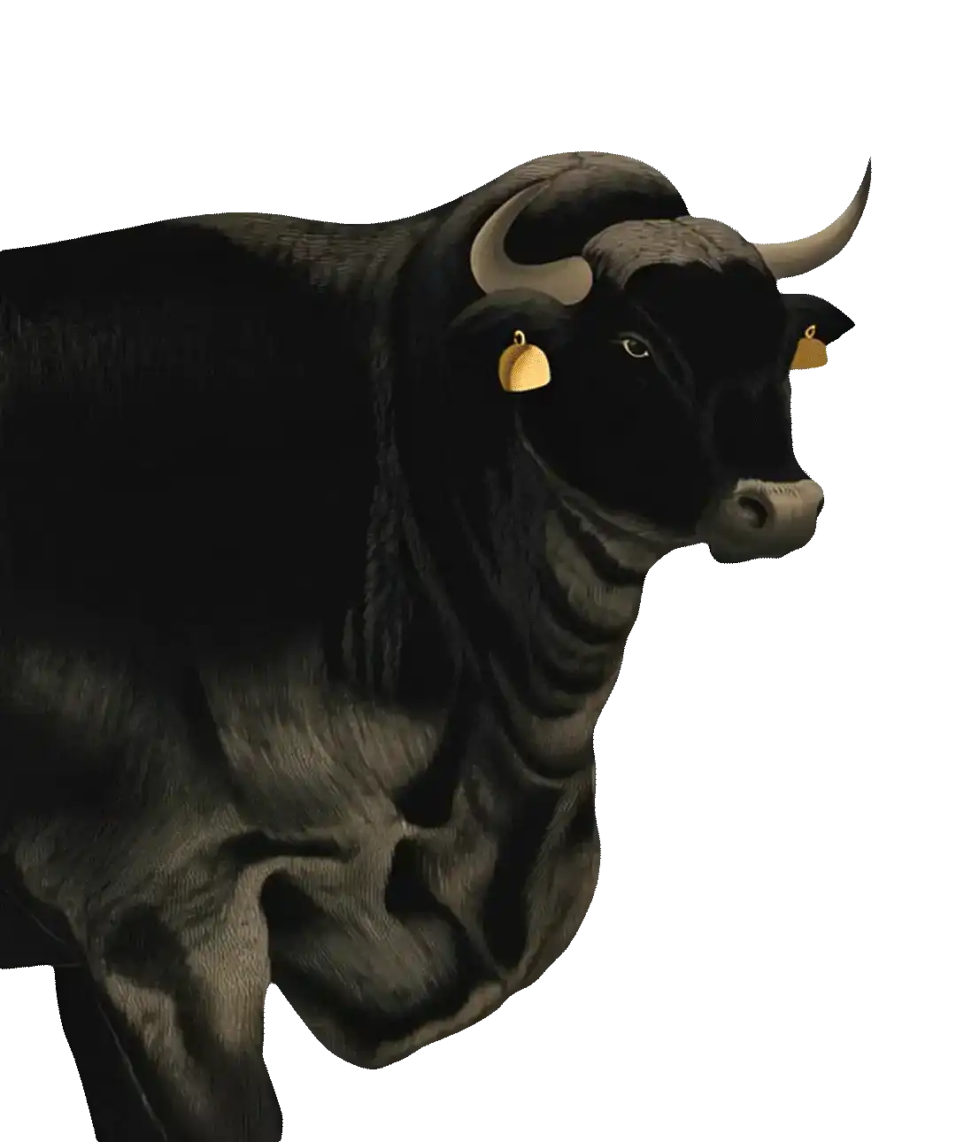 BAHO Wagyu Beef